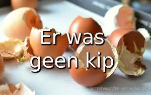 Er was geen kip