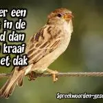 Beter een mus in de hand dan een kraai op het dak