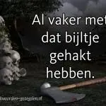 Al vaak met dat bijltje gehakt hebben.