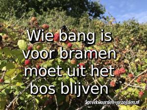 Wie bang is voor bramen moet uit het bos blijven