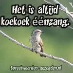 Het is altijd koekoek éénzang.
